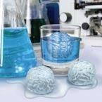 FOREMKA NA LÓD DO LODU LODOWE MÓZGI DO DRINKÓW KOSTKI LODU NA IMPREZĘ MÓZG